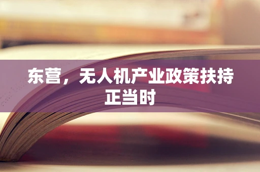 东营，无人机产业政策扶持正当时