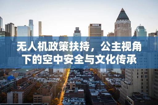 无人机政策扶持，公主视角下的空中安全与文化传承