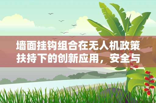 墙面挂钩组合在无人机政策扶持下的创新应用，安全与便捷的双重保障？