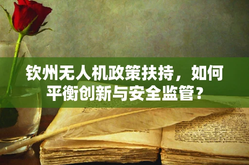 钦州无人机政策扶持，如何平衡创新与安全监管？