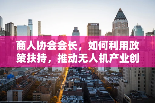 商人协会会长，如何利用政策扶持，推动无人机产业创新发展？
