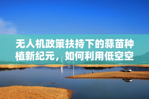 无人机政策扶持下的蒜苗种植新纪元，如何利用低空空域政策促进智慧农业发展？