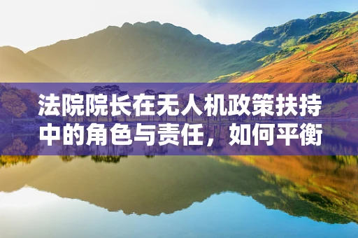 法院院长在无人机政策扶持中的角色与责任，如何平衡安全与创新？