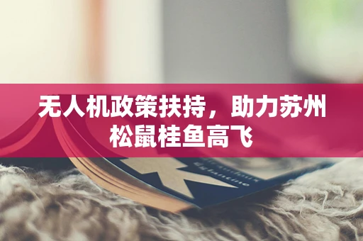 无人机政策扶持，助力苏州松鼠桂鱼高飞