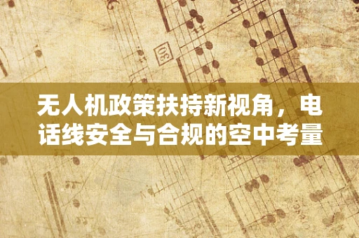 无人机政策扶持新视角，电话线安全与合规的空中考量