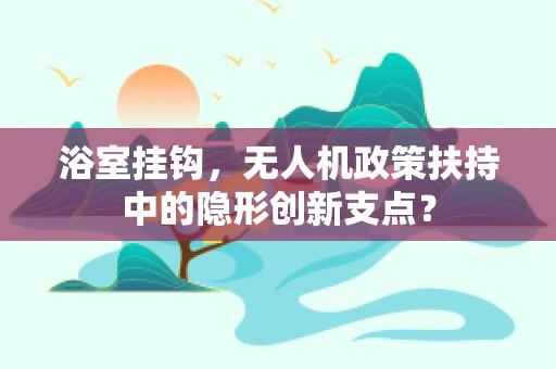 浴室挂钩，无人机政策扶持中的隐形创新支点？