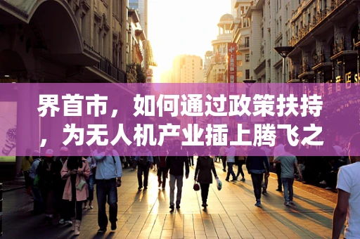 界首市，如何通过政策扶持，为无人机产业插上腾飞之翼？