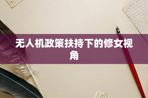 无人机政策扶持下的修女视角