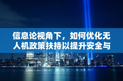 信息论视角下，如何优化无人机政策扶持以提升安全与效率？