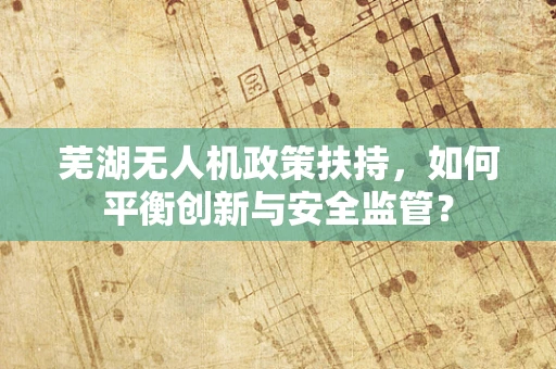 芜湖无人机政策扶持，如何平衡创新与安全监管？