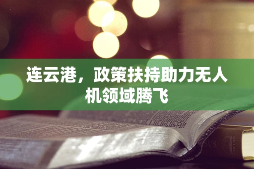 连云港，政策扶持助力无人机领域腾飞