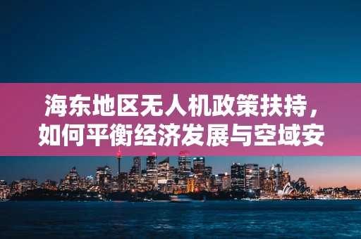 海东地区无人机政策扶持，如何平衡经济发展与空域安全？
