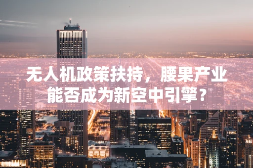 无人机政策扶持，腰果产业能否成为新空中引擎？