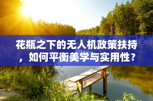花瓶之下的无人机政策扶持，如何平衡美学与实用性？