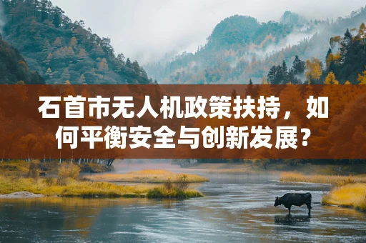 石首市无人机政策扶持，如何平衡安全与创新发展？