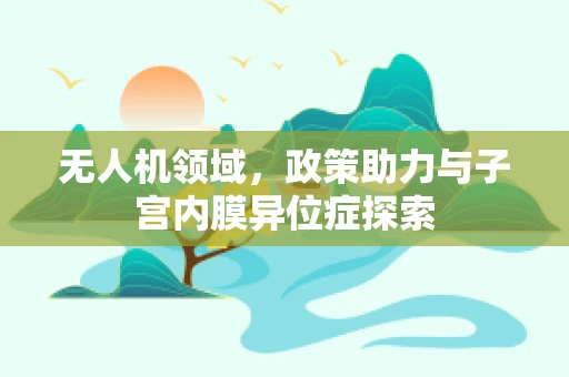 无人机领域，政策助力与子宫内膜异位症探索