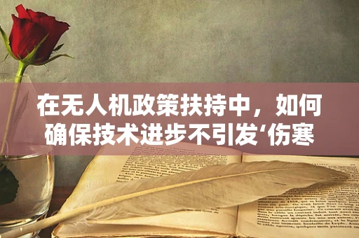 在无人机政策扶持中，如何确保技术进步不引发‘伤寒’——副伤寒效应？