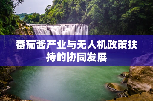 番茄酱产业与无人机政策扶持的协同发展