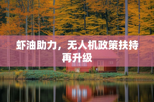 虾油助力，无人机政策扶持再升级