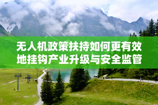 无人机政策扶持如何更有效地挂钩产业升级与安全监管？