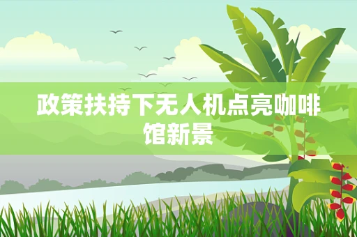 政策扶持下无人机点亮咖啡馆新景