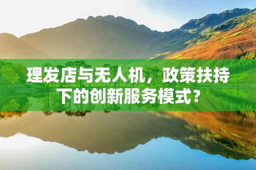理发店与无人机，政策扶持下的创新服务模式？