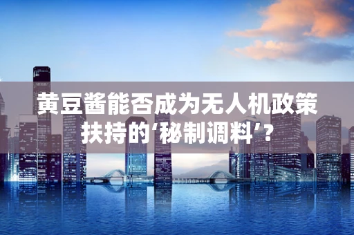 黄豆酱能否成为无人机政策扶持的‘秘制调料’？