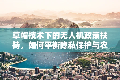 草帽技术下的无人机政策扶持，如何平衡隐私保护与农业应用？