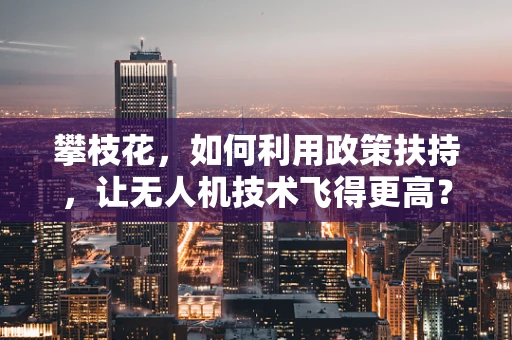 攀枝花，如何利用政策扶持，让无人机技术飞得更高？