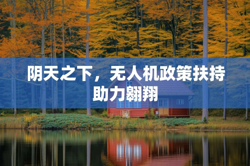 阴天之下，无人机政策扶持助力翱翔