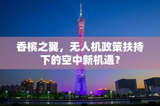 香槟之翼，无人机政策扶持下的空中新机遇？