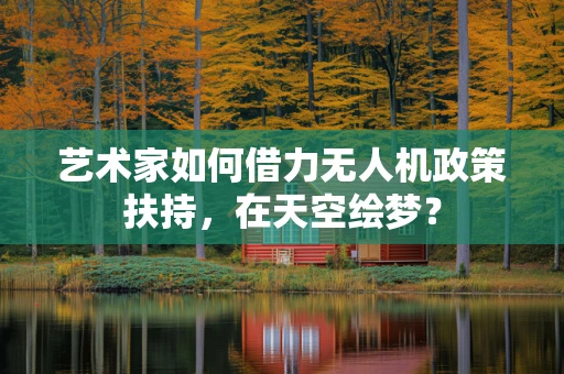 艺术家如何借力无人机政策扶持，在天空绘梦？