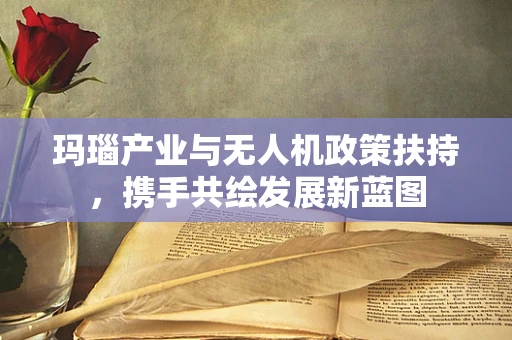 玛瑙产业与无人机政策扶持，携手共绘发展新蓝图