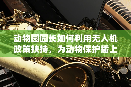 动物园园长如何利用无人机政策扶持，为动物保护插上科技翅膀？