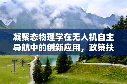 凝聚态物理学在无人机自主导航中的创新应用，政策扶持的挑战与机遇？