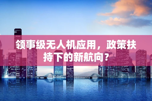 领事级无人机应用，政策扶持下的新航向？