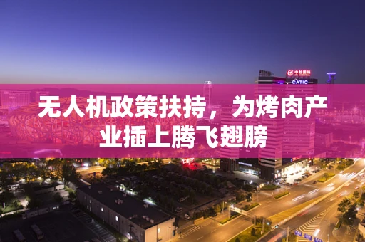无人机政策扶持，为烤肉产业插上腾飞翅膀