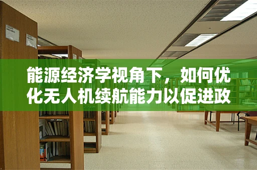能源经济学视角下，如何优化无人机续航能力以促进政策扶持？