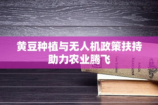 黄豆种植与无人机政策扶持助力农业腾飞