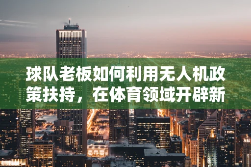 球队老板如何利用无人机政策扶持，在体育领域开辟新天地？