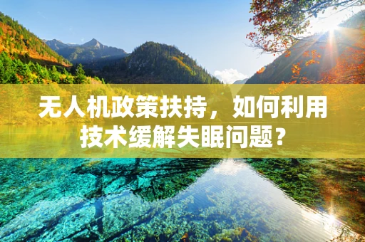 无人机政策扶持，如何利用技术缓解失眠问题？