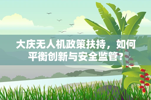 大庆无人机政策扶持，如何平衡创新与安全监管？