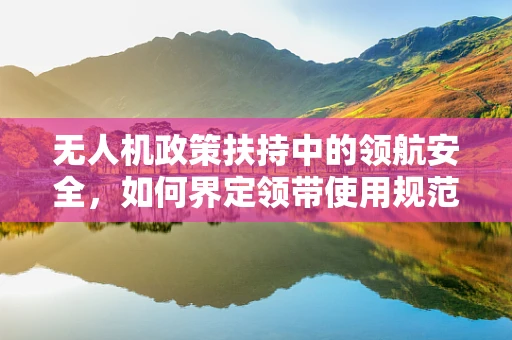 无人机政策扶持中的领航安全，如何界定领带使用规范？