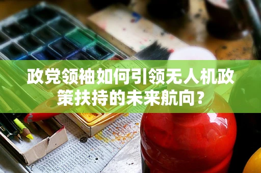 政党领袖如何引领无人机政策扶持的未来航向？