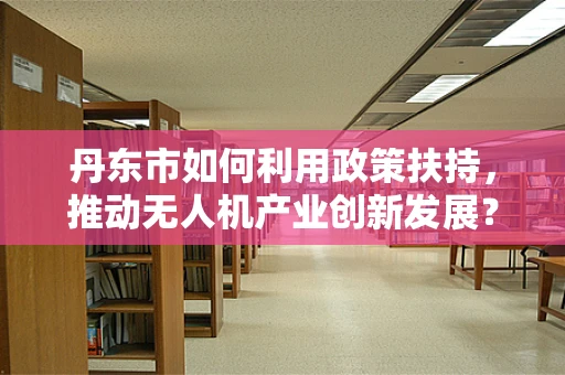 丹东市如何利用政策扶持，推动无人机产业创新发展？