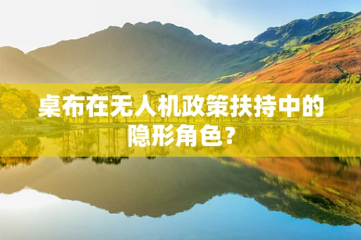 桌布在无人机政策扶持中的隐形角色？