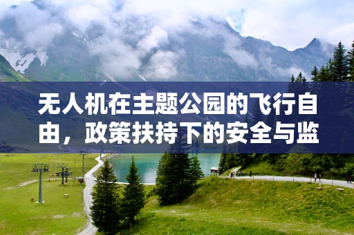 无人机在主题公园的飞行自由，政策扶持下的安全与监管挑战？