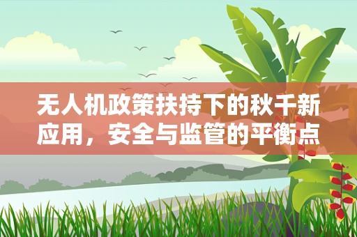 无人机政策扶持下的秋千新应用，安全与监管的平衡点何在？