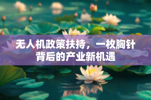 无人机政策扶持，一枚胸针背后的产业新机遇