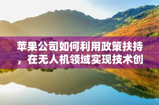 苹果公司如何利用政策扶持，在无人机领域实现技术创新与市场拓展？